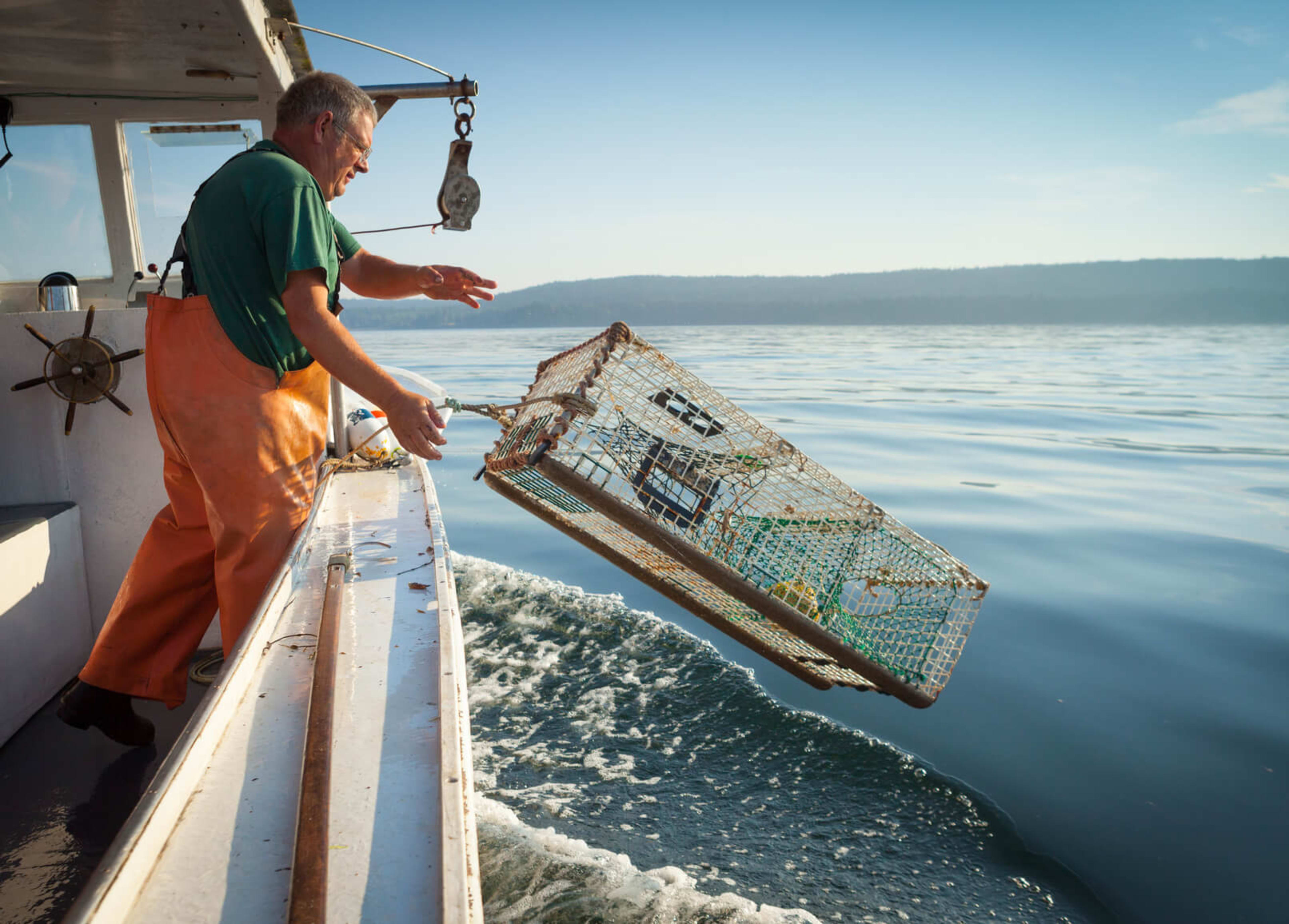 Deep Sea Trawler - Deep sea fishing vessels - Damen